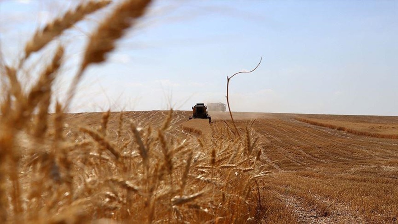 Türkiye Yüzyılı için tarımda yeni vizyon