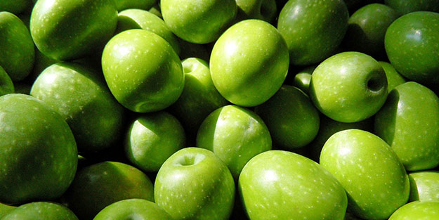 Türkiye, zeytin ve zeytinyağı ihracatında tarihi rekor peşinde