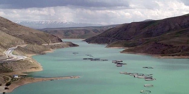 Türkiye'de 21 yıllık rekor kırıldı! Yıl boyunca görüyoruz ki: Yüzde 60'ı gördü! Gerçek rakamlar ortaya çıktı