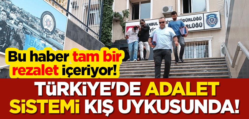 Türkiye'de adalet sistemi kış uykusunda! 112 suç kaydıyla dışarıda cirit atıyor