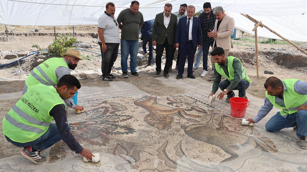 Türkiye'de bir ilk! 120 bin TL'ye aldığı arsada paha biçilemez bir eser buldu