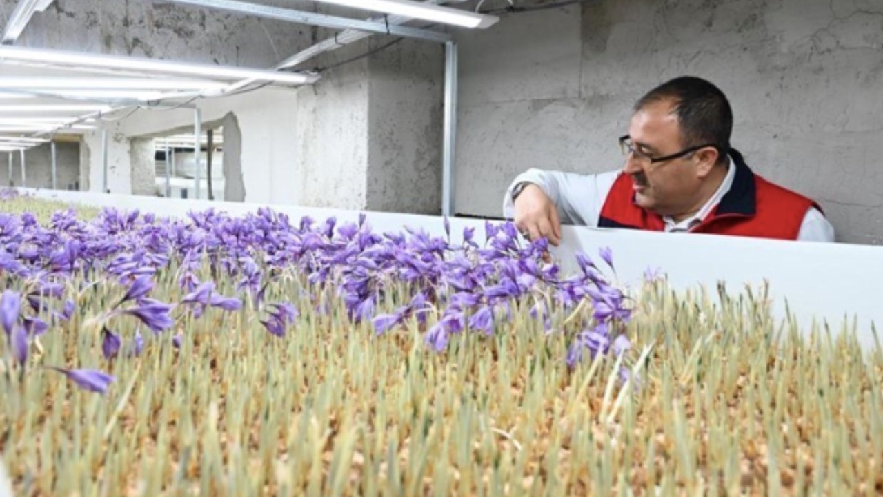 Türkiye'de bir ilk! 5 milyon dolar yatırım hedefi