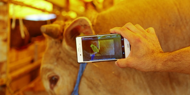 Türkiye’de bir ilk! Akıllı Mobil Kurban Uygulaması