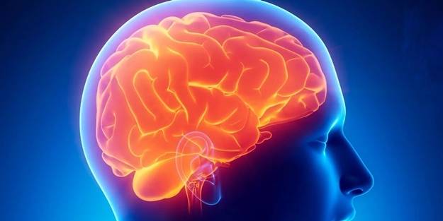 Türkiye’de bir ilk: İnsan beyninin birebir kopyası yapıldı!