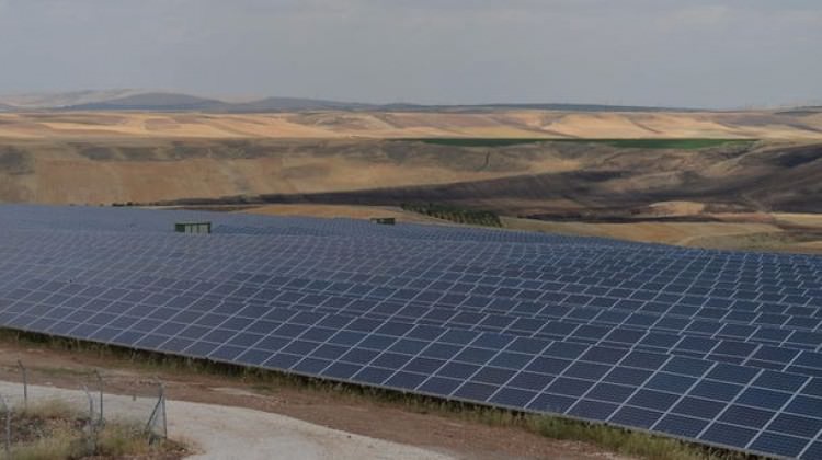 Türkiye'de bir ilk! Üretime geçildi