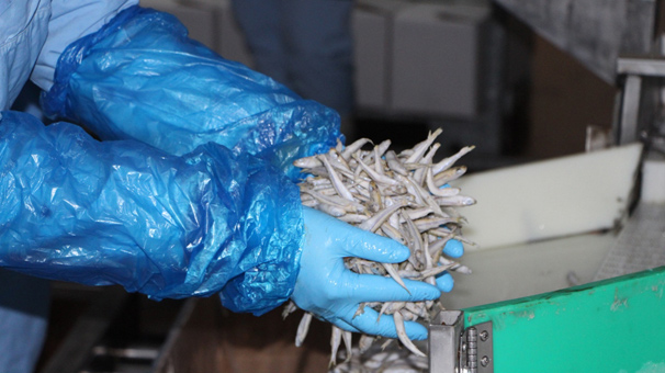 Türkiye'de bir lira Avrupa'da 33 lira! Tonlarca gidiyor...