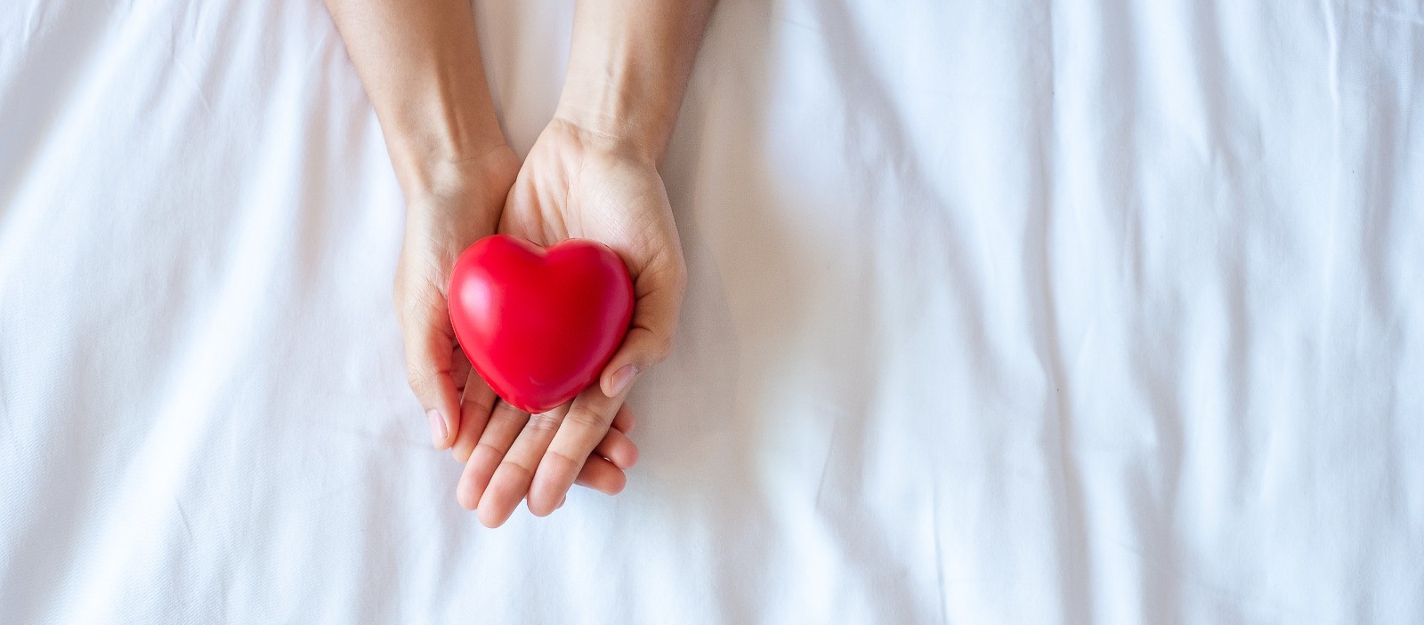 Türkiye’de böbrek nakillerinde hasta ve böbrek sağkalımı yüzde 95’in üzerinde