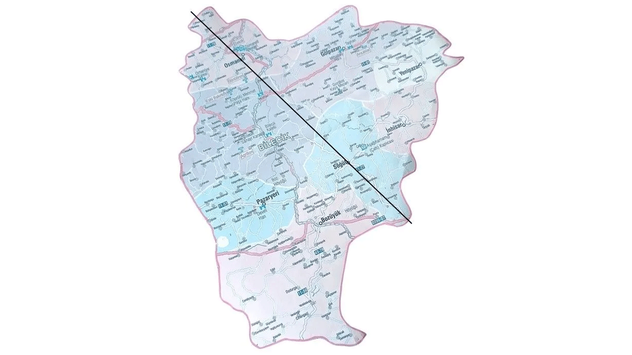 Türkiye'de bu bölgelere havadan kuduz aşısı atılacak! Endişelenecek bir konu var...