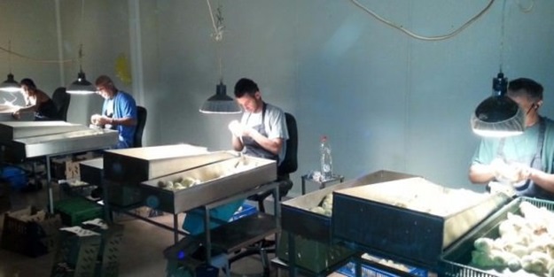 Türkiye'de bu işi sadece 18 kişi yapıyor