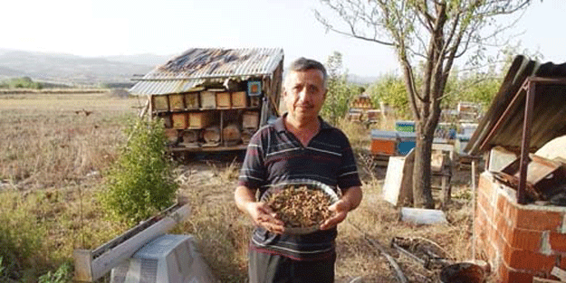 Türkiye’de bu işi yapan çok az… Kilosu 500 TL! Bir kez alan vazgeçemiyor