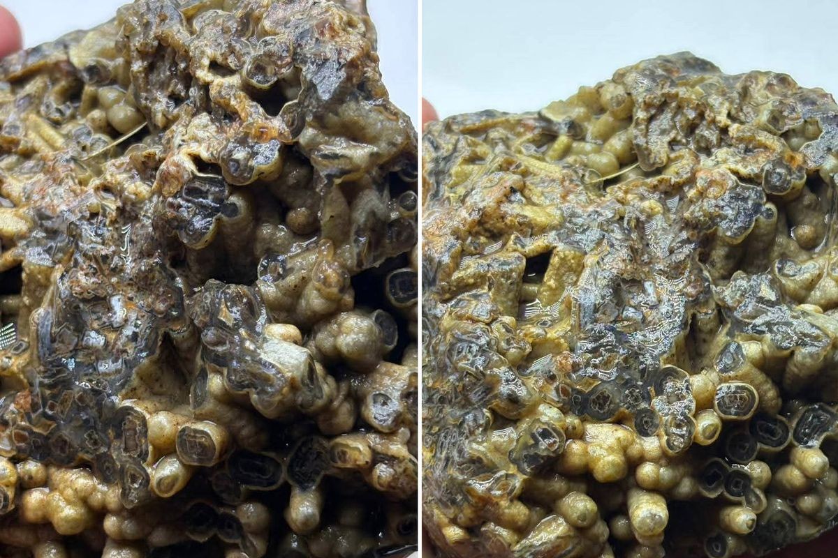 Türkiye’de bulundu, sahibi apar topar satışa çıkardı! İşte ilginç taş için istenen dudak uçuklatan rakam