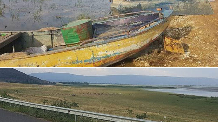 Türkiye'de çölleşme tehdidi! Artık koyunlara kaldı
