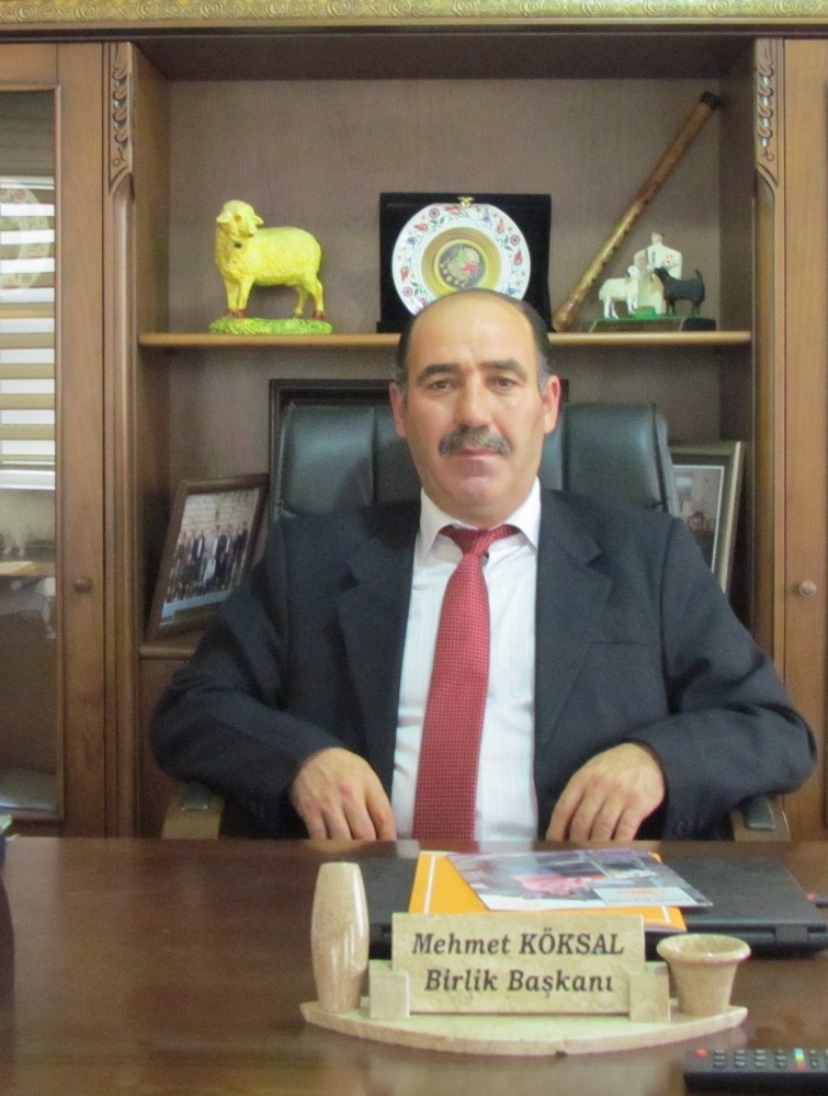 Türkiye’de damızlığın nabzı Eskişehir’de atacak 