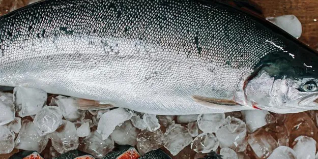 Türkiye'de dev atak: 46,3 milyon dolar getiri, binlerce tonluk satış! Somonu sattı, sektörü şaşırttı!