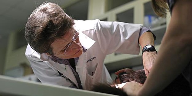 Türkiye'de en çok iş bulan meslek