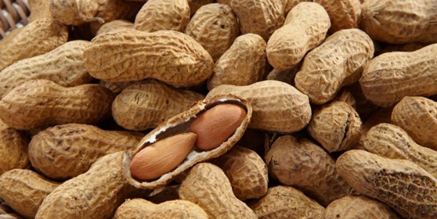 Türkiye'de ilk defa üretildi