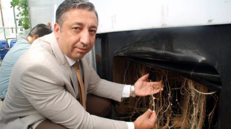 Türkiye'de ilk! Topraksız patates tohumu ürettiler