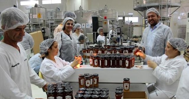 Türkiye'de ilk toz bal üretimine başlandı