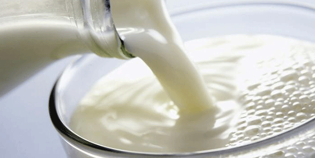 Türkiye'de inek sütü üretimi Mayısta rekor kırdı