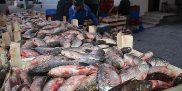 Kilosu 1 lira ama alan yok! Yurtdışına gönderiliyor