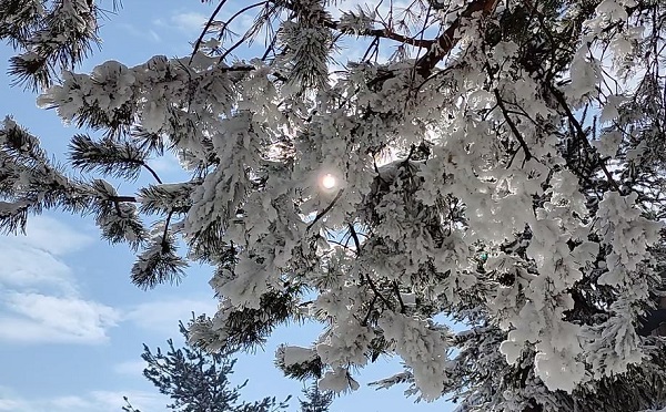 Türkiye'de mart ayında Sibirya soğuğu