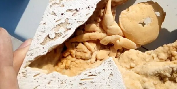 Türkiye'de milyonlarca yıllık tarihe geçecek önemli keşif: Fransa'dan bilim insanları incelemeye geldi!