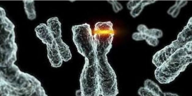 Türkiye'de mutasyonlu virüs hangi ilde görüldü?