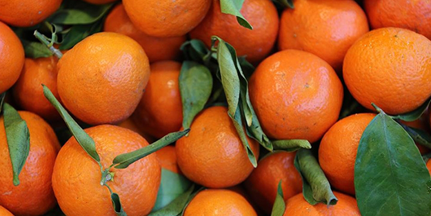 Türkiye'de portakal depremi! 'Yandık' desek yeridir