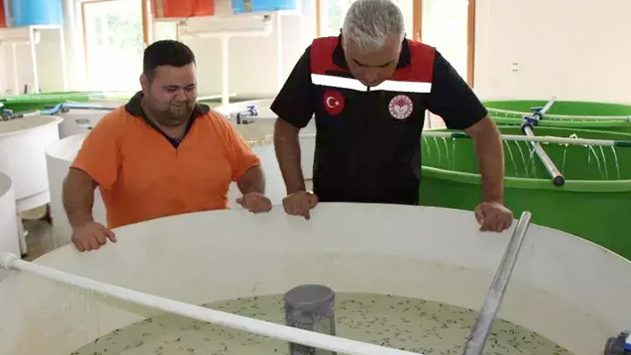 Türkiye'de sadece Amasya'da var! Geçmişi 250 milyon yıl öncesine dayanıyor