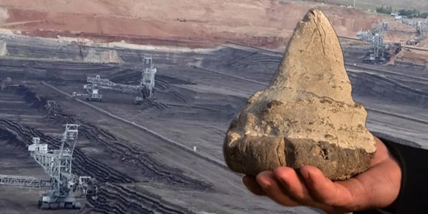 Türkiye'de tarihi heyecanlandıran keşif: 20 milyon yıllık megalodon dişi keşif edildi! Fransa hemen almak istedi