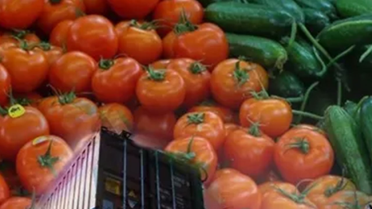 'Türkiye'de tarım bitti' diyorlardı! Tamı tamına 36,2 milyar dolar...