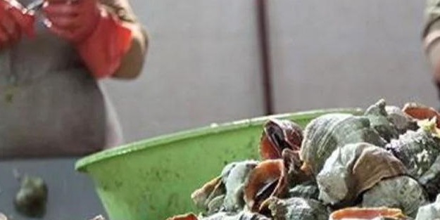 Türkiye'de tüketimi yok ama dünyaya satılıyor: 11 ayda 15.5 milyon dolar! Türkiye'ye dolar yağacak!