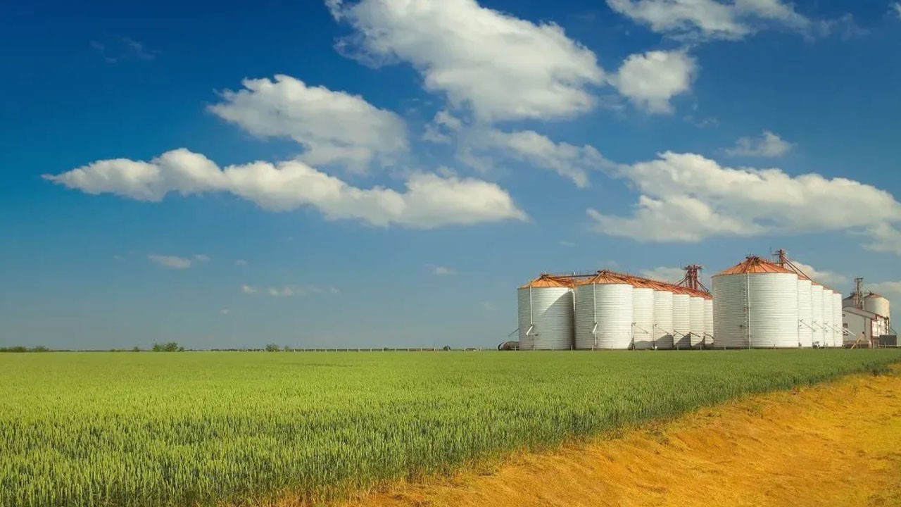 Türkiye'de meşhur yem fabrikası iflas etti!