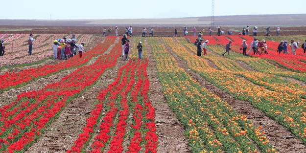 Türkiye'de üretildi... 10'dan fazla ülkeye ihraç ediliyor