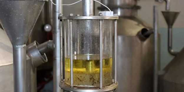 Türkiye'de üretiliyor, 50 ülkeye satıldı! 4 tondan sadece 1 kilo üretiliyor! ABD, Kanada ve Japonya gibi ülkeler...