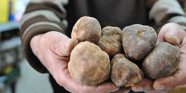 Türkiye'de üretiliyor! Fiyatı dudak uçuklatıyor