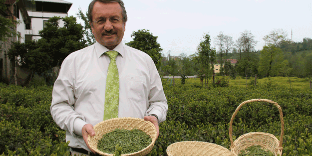 Türkiye’de üretiliyor… Japonya’da yapılan araştırmaya göre kanserli hücreleri yok ediyor