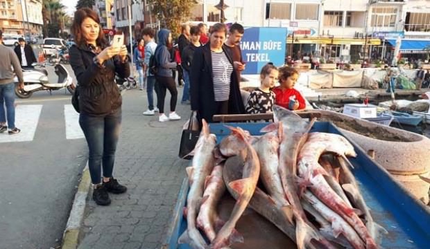 Türkiye'de yakalandı! Yunanistan'da tezgaha çıkacak