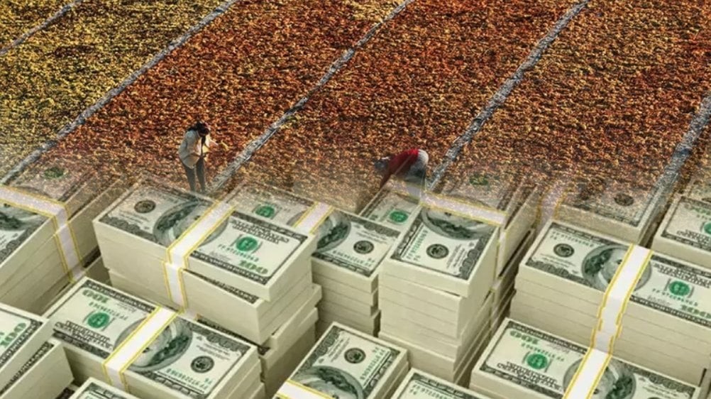 Türkiye'de yapılıyor, 104 ülkeye ihraç ediliyor! Üreticiler adeta servet getiriyor! Tam 500 milyon dolar gelir...