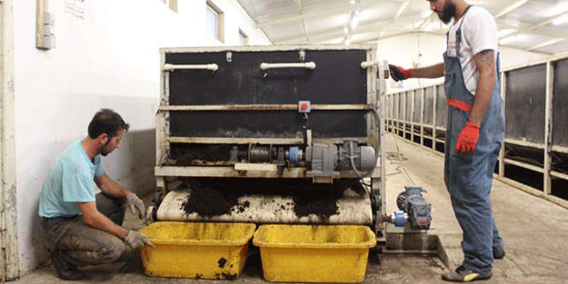 Türkiye’de yeni başladı bu işe giren paraya para demiyor