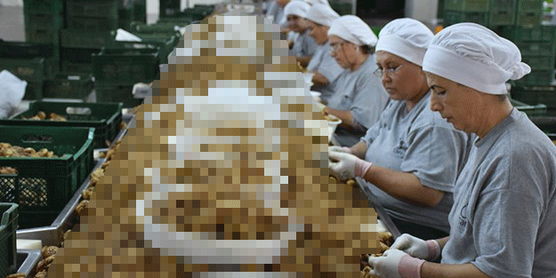 Türkiye’de yetişiyor, uzak doğuya ihraç ediliyor