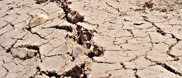 “Türkiye’de çölleşme tehlikesine dikkat çekildi”