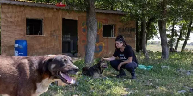 Türkiye'deki başıboş köpeklerle Reuters neden ilgilenir? İngilizlerden algı operasyonu