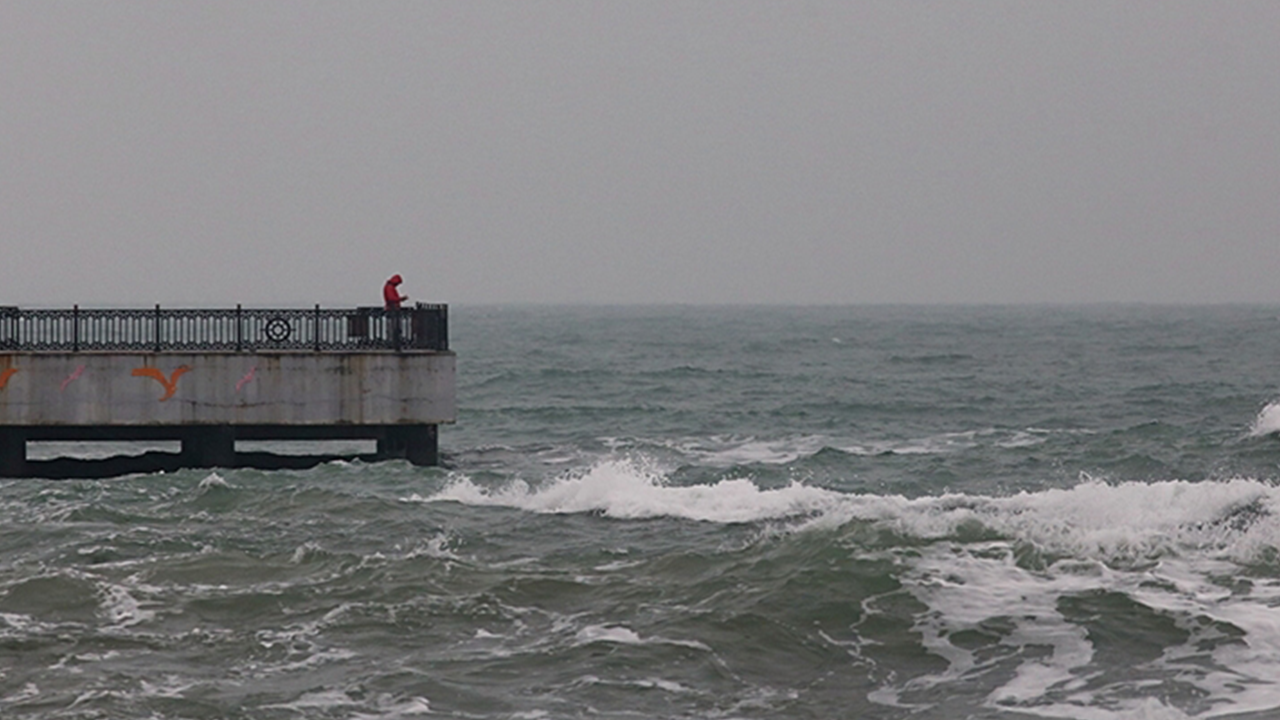 Türkiye'deki denizlerden fışkırıyor! 45 ülke peşine düştü: Çin, Rusya, Bahreyn, Umman, Japonya...