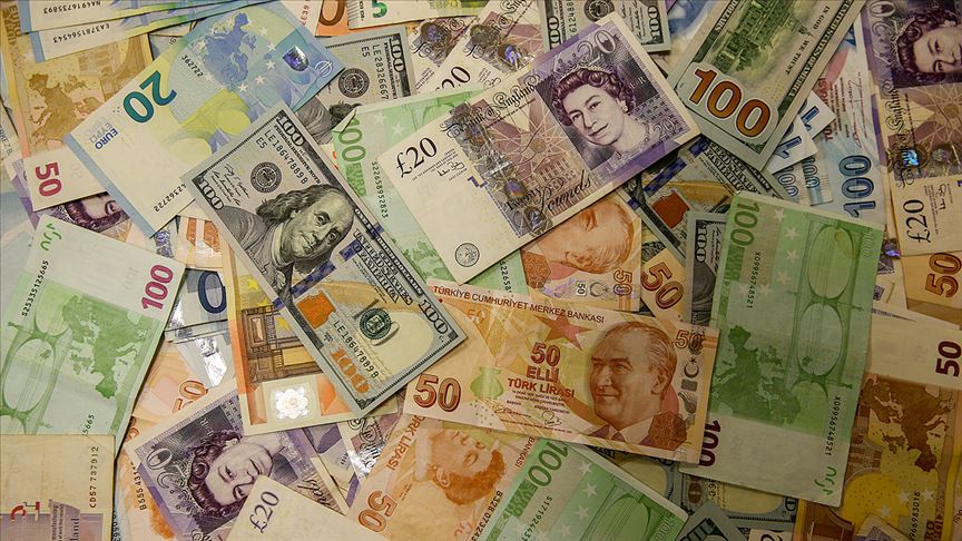 Türkiye'deki Milyonerler 7 ayda 83,4 milyar liralık döviz aldı
