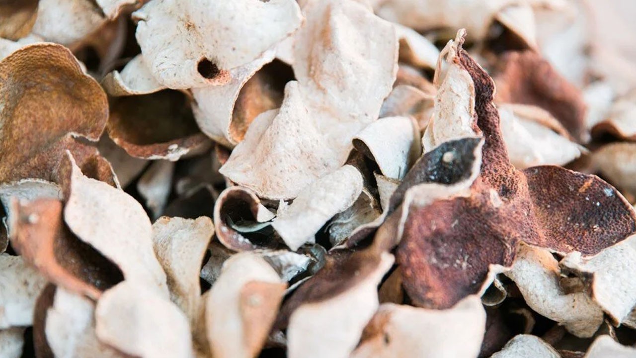 Türkiye'den 47 ülkeye ihraç ediliyor! Yiyin: bol bol tüketin