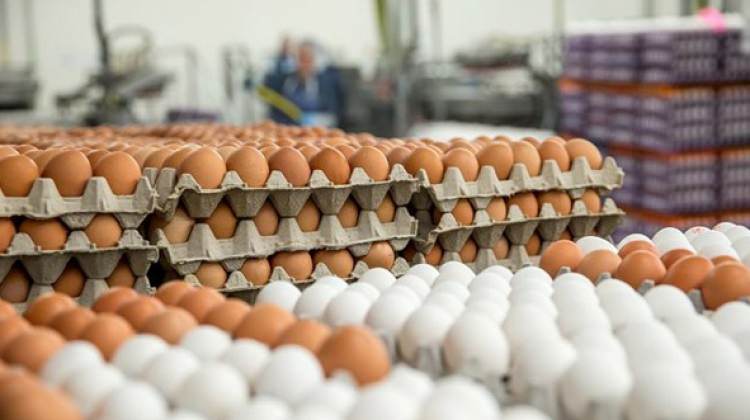 Türkiye'den 6 yıl sonra bir ilk!