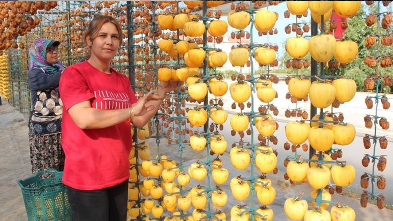 Türkiye'den Avrupa'ya kasa kasa satılıyor! Çikolata kullanılıyor, bağırsakları motor gibi çalıştırıp C vitamini yüklüyor!