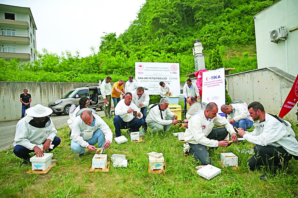 Türkiye’den Balkan ülkelerine arıcılık eğitimi