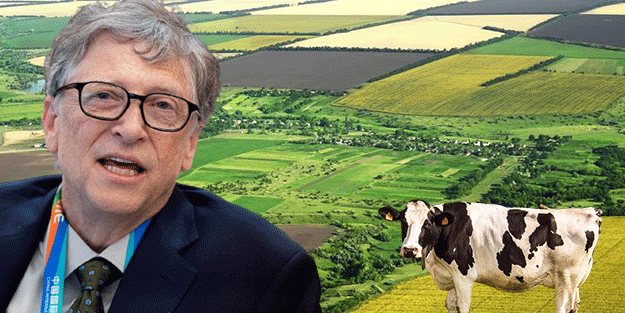 Türkiye'den de tarım arazisi toplayan Bill Gates'e tokat! İşte şimdi yandı